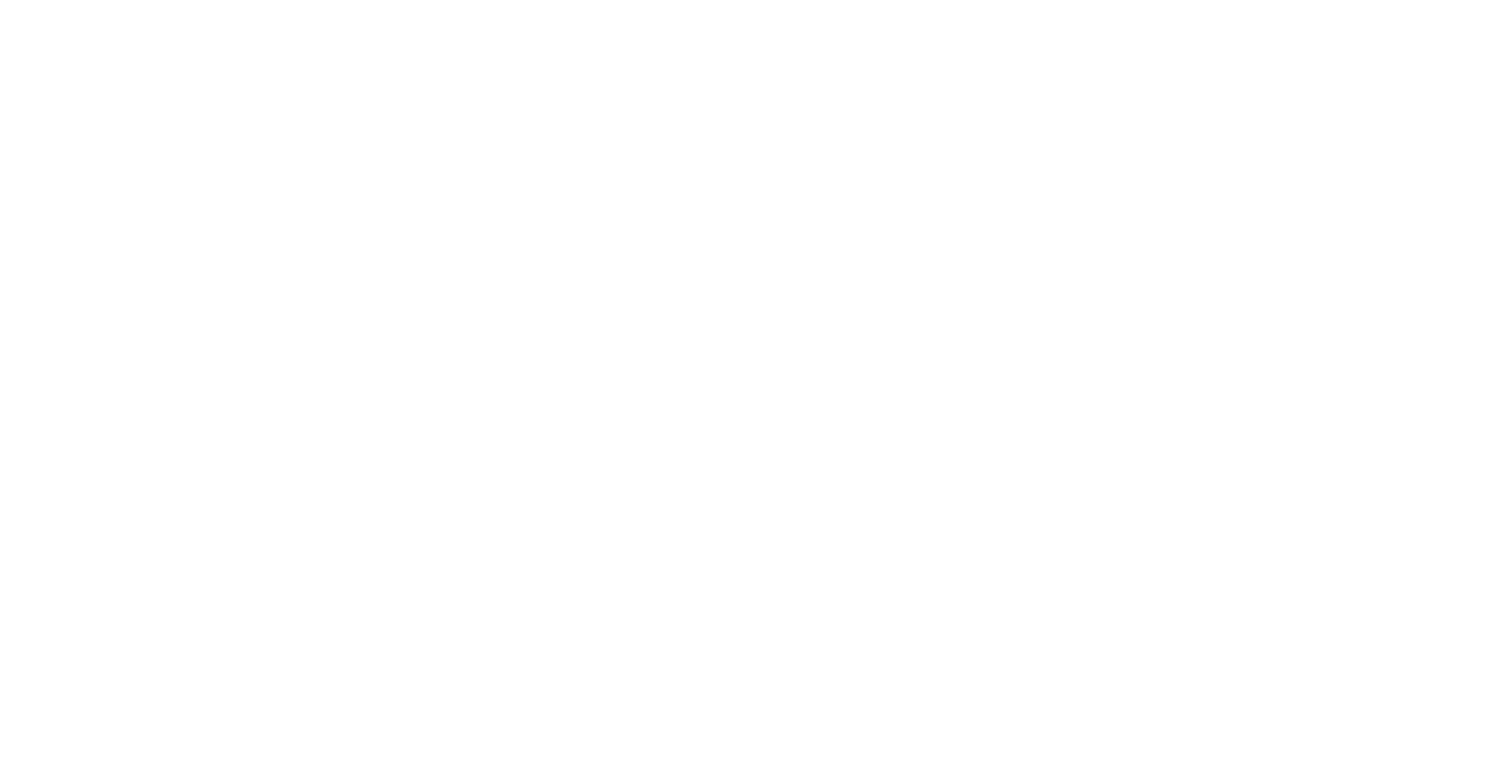 BLN ENERGY FZCO